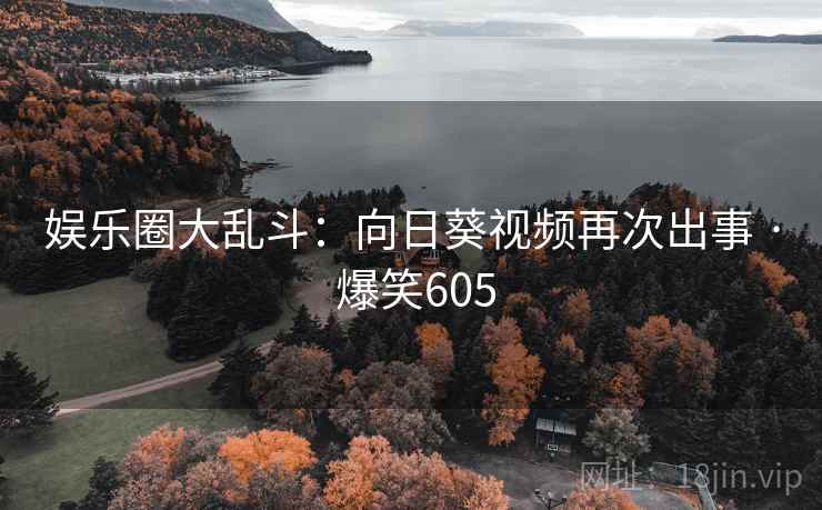 娱乐圈大乱斗：向日葵视频再次出事 · 爆笑605