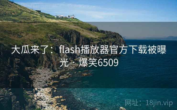 大瓜来了：flash播放器官方下载被曝光 · 爆笑6509