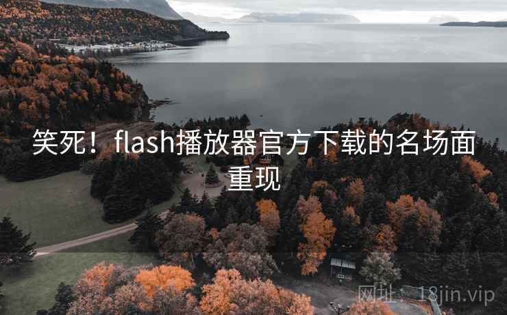 笑死！flash播放器官方下载的名场面重现